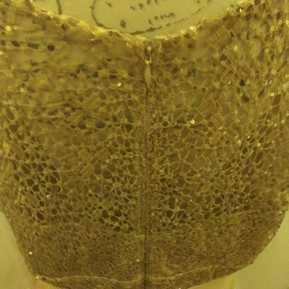 Champagne dress with sparkly lace bodice - Picture 4 of 7